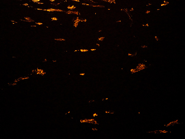 Nikolai Vogel: Lido Reflections